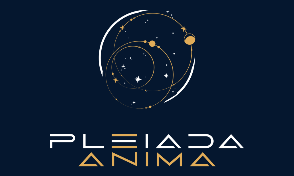 Pleiada Anima Interviuri
