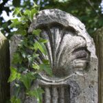 jakobsweg, camino de santiago, pilgrimage, character, symbol, shell, post, fence, ivy, tendrils, jakobsweg, jakobsweg, jakobsweg, jakobsweg, jakobsweg, pilgrimage, pilgrimage, pilgrimage