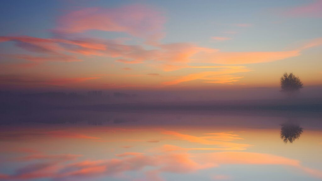 Tranquil sunrise with colorful sky reflecting over calm waters and a lone tree.