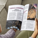 Articol Essentia Momentum 10