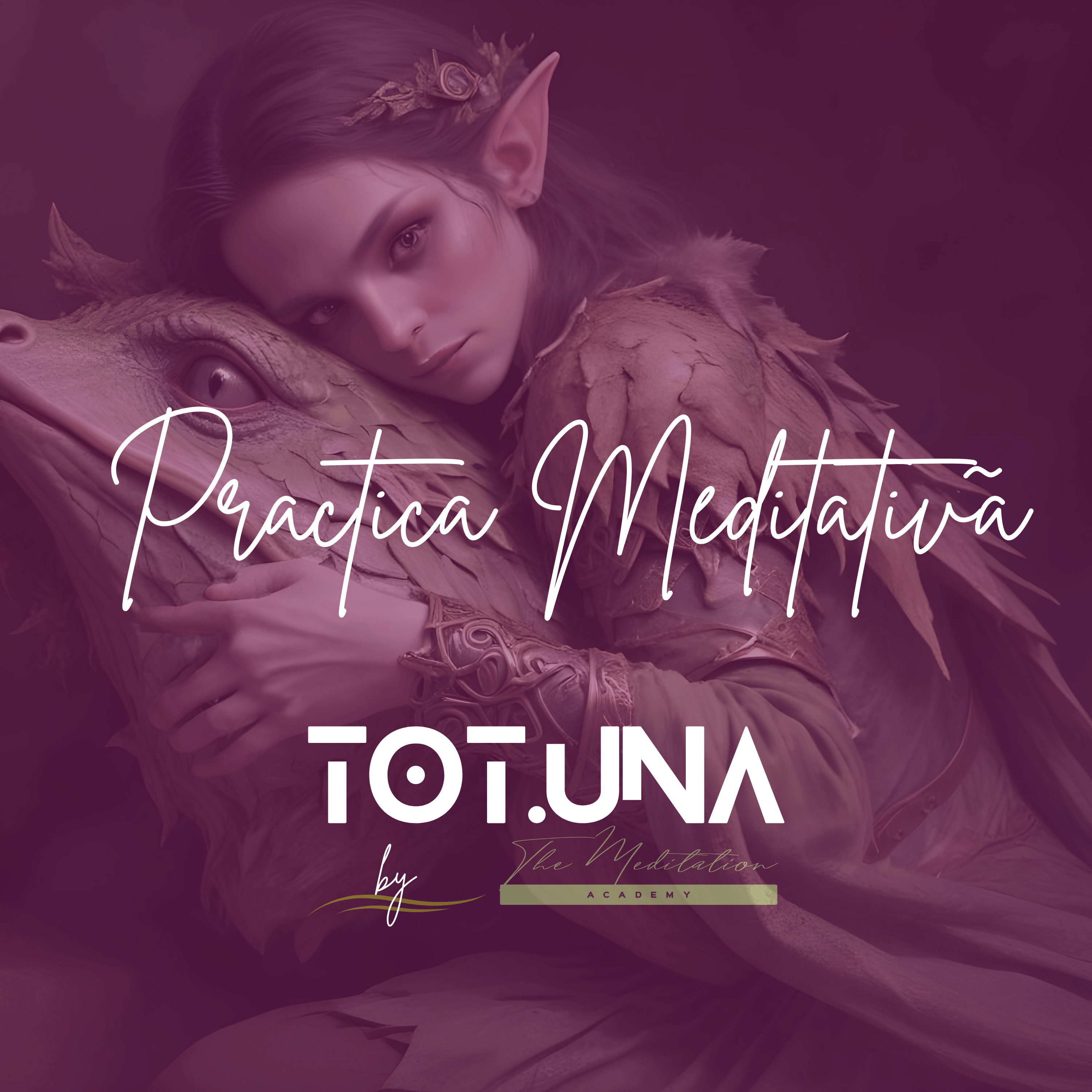 Practica Meditativa 10