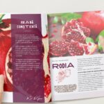 Recomandare carte 12