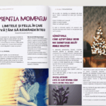 Essentia Momentum 12