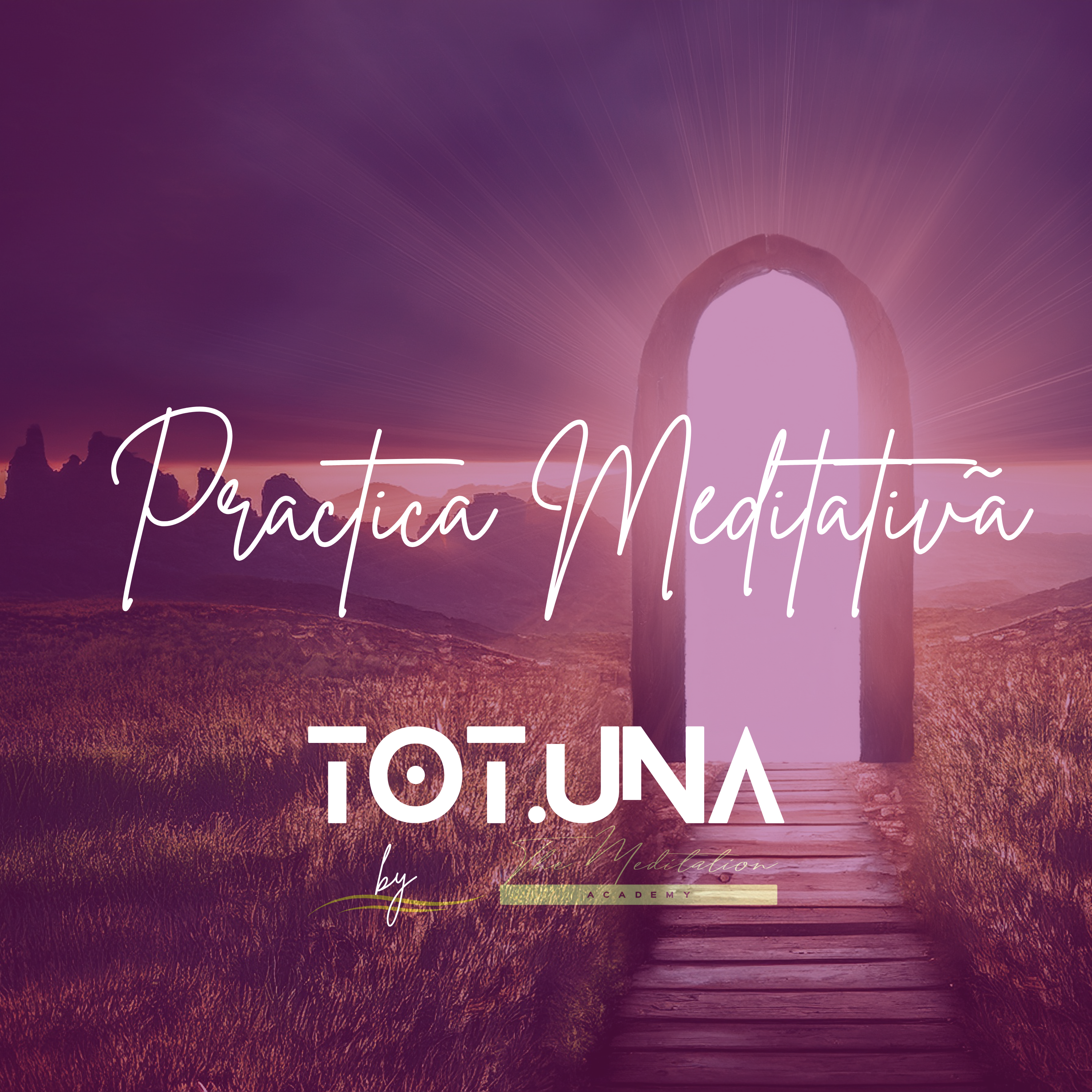 Practica Meditativa 12