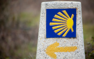 Camino de Santiago Vindecare