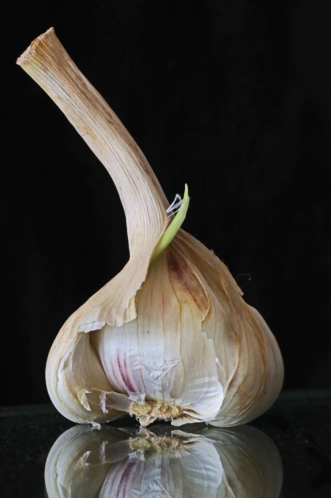 garlic bulb, garlic, food, hearty, clove of garlic