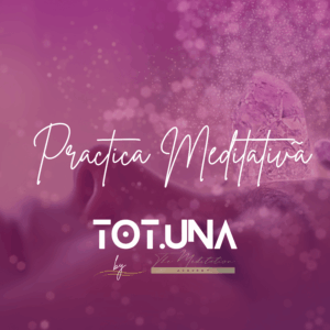Practica Meditativa 13