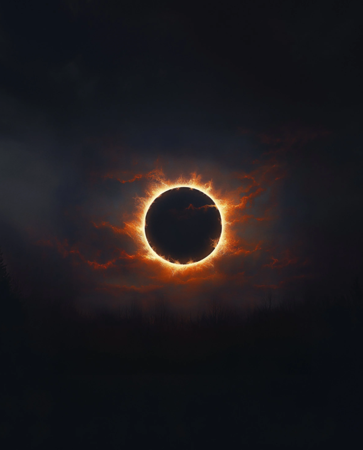 Screenshot 2026-02-11 105747