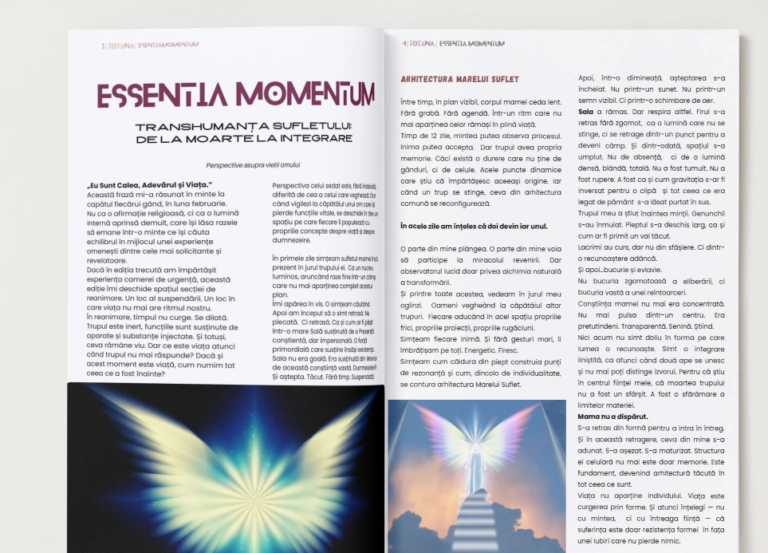 Essentia Momentum 15