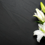 Doliul – Vindecare Holistică