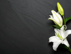 Doliul Vindecare Holistica