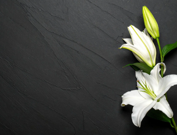 Doliul Vindecare Holistica