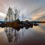 Rana sacră – 11 Martie 2026 | Amprenta Zilei