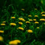 pexels-photo-16714208-16714208