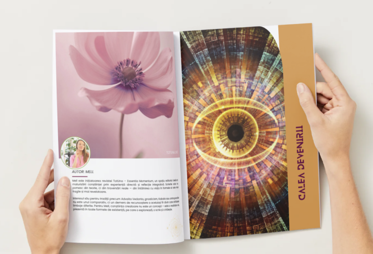 Essentia Momentum 16