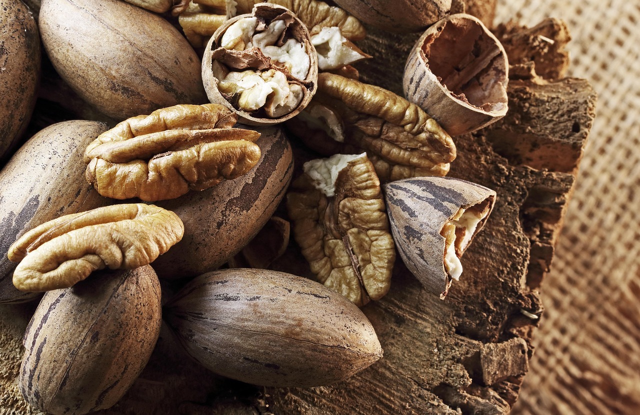 pecan nuts, nuts, ripe, shelled, raw, snack, crop, produce, close up, brown