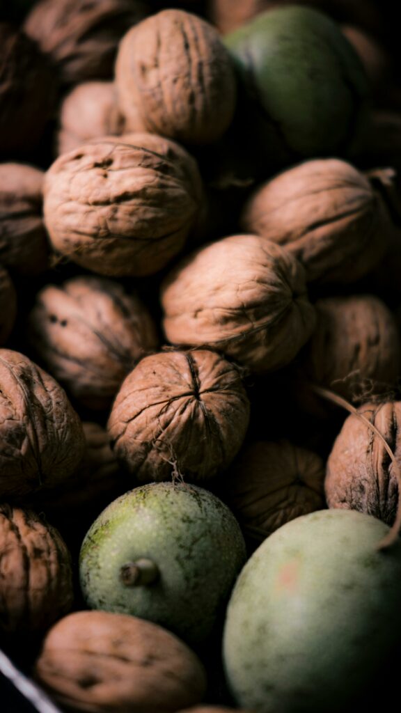 Close-up shot of fresh walnuts and unripe fruit with a rustic, earthy feel.