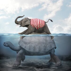 manipulation jumbo, turtle, sea, nature, under the water