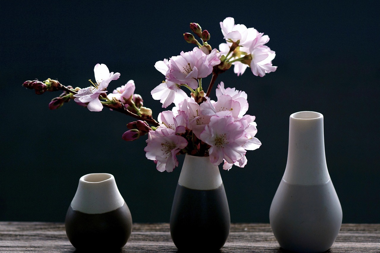 cherry blossoms, branch, pink, spring, nature, blossom, bloom, sakura, bud, ornamental cherry, vase, season, decorative, cherry blossoms, spring, spring, sakura, sakura, vase, vase, vase, vase, vase