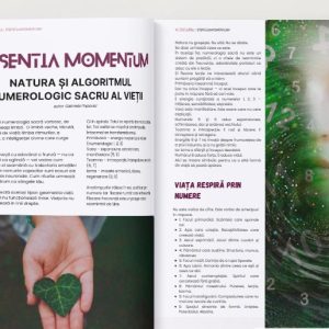 Screenshot 2025-08-01 030623