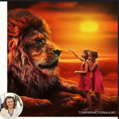 Vindecare Holistică – Furia – Dincolo de tăcere și izbucnire