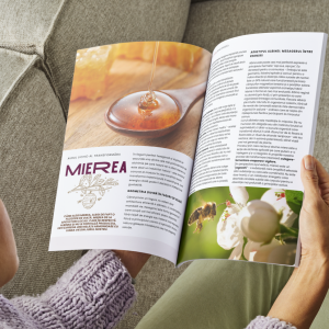 Screenshot 2025-09-29 113050