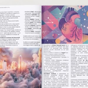 Screenshot 2025-11-01 073537