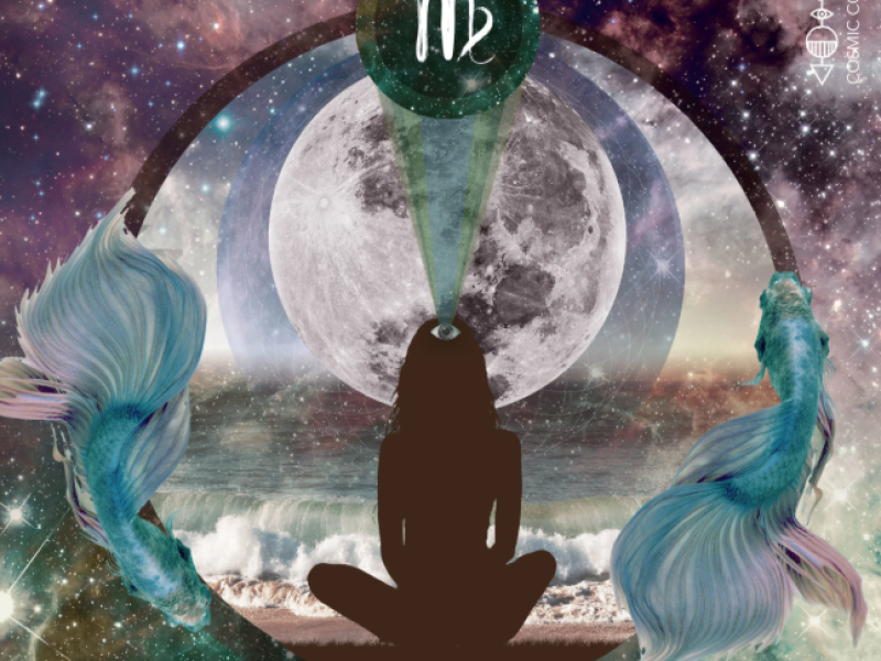 Screenshot 2026-03-03 052155