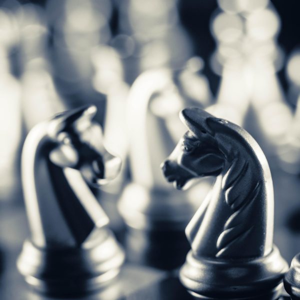 strategy, chess, knight, chess pieces, chessboard, board game, competition, play, game, battle, closeup