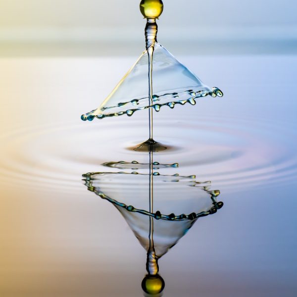 drop, nature, splash, impact, ripples, water, ripple effect, waves, drip, liquid, surface tension, surface, water surface, droplet, reflection, water reflection, mirroring, mirror image, aqua