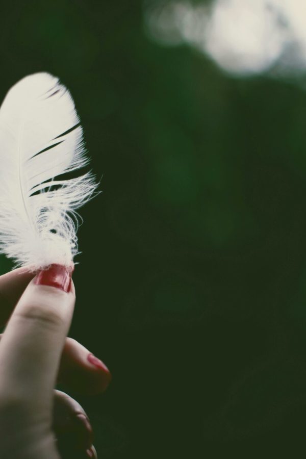 Close-up of a hand delicately holding a white feather against a dark blurred background.