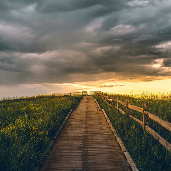 A scenic wooden pathway leads through grassy fields under dramatic clouds at sunset.