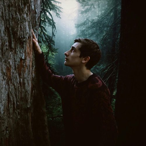 A pensive young man in a dark forest, touching a tree, surrounded by mist.